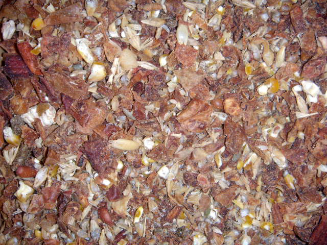 Fruchtmix mit Kräuter