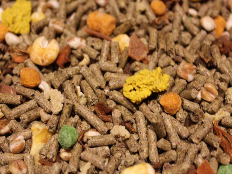 Chinchillafutter C2