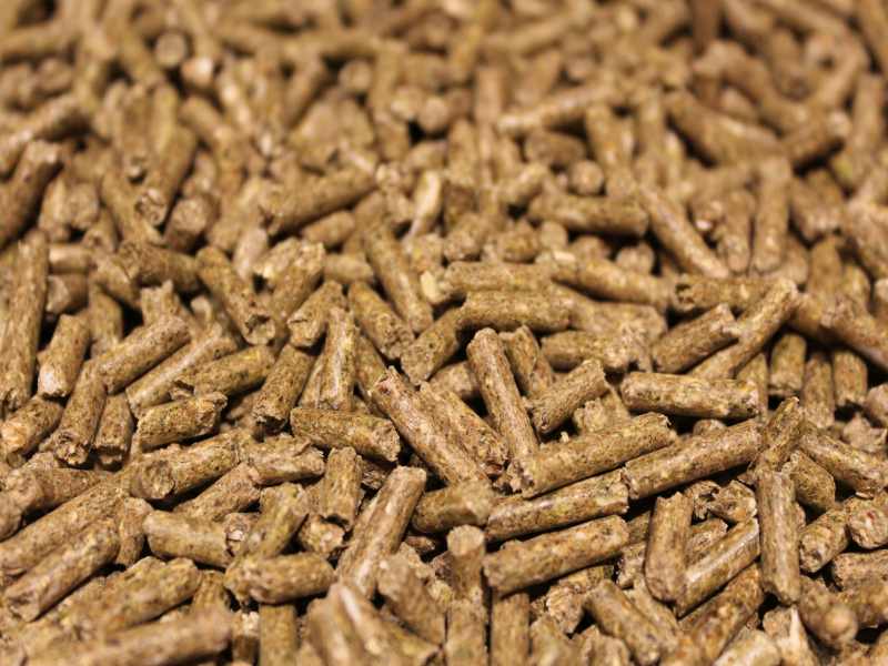 Kaninchenpellets K 19