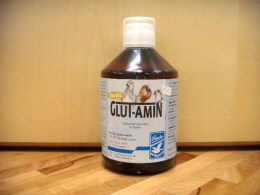 Glut___Amin_4b8688e67ef3f.jpg