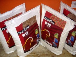Nutri_Bird_Papag_4c18f98236527.jpg