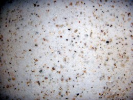 Vogelsand_1__Pui_4b743b1159cf9.jpg