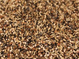 Kapuzenzeisigfutter L