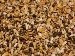 Koch- u. Quellfutter extra