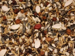 Langflügelpapageienfutter