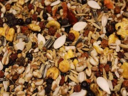 Papageienfutter E "mit Beeren"