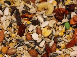 Papageienmüsli mit Trockenfrüchten