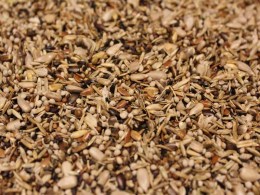 Stieglitz-Zeisigfutter extra