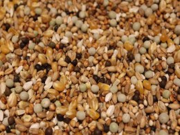 Taubenfutter Universal