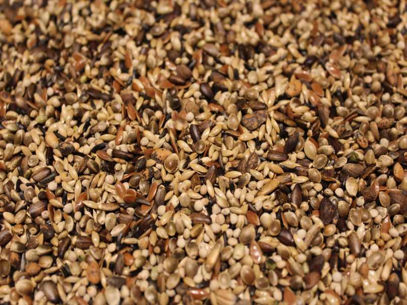 Waldvogelfutter G