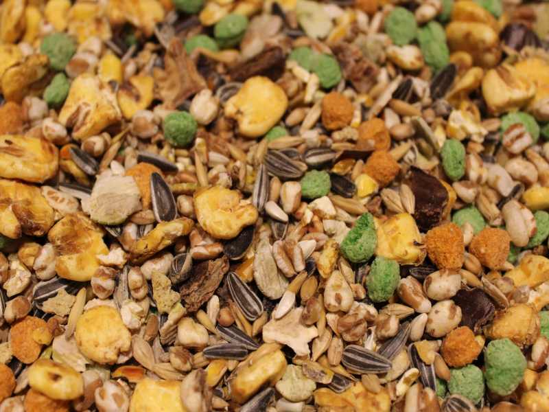 Zwerghasenfutter A